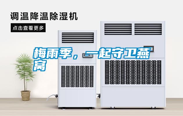 梅雨季，一起守衛燕窩