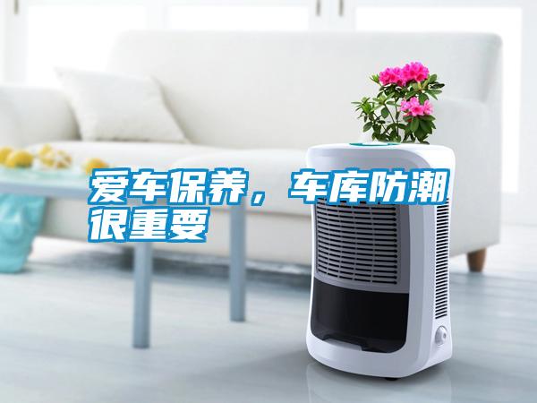 愛車保養，車庫防潮很重要