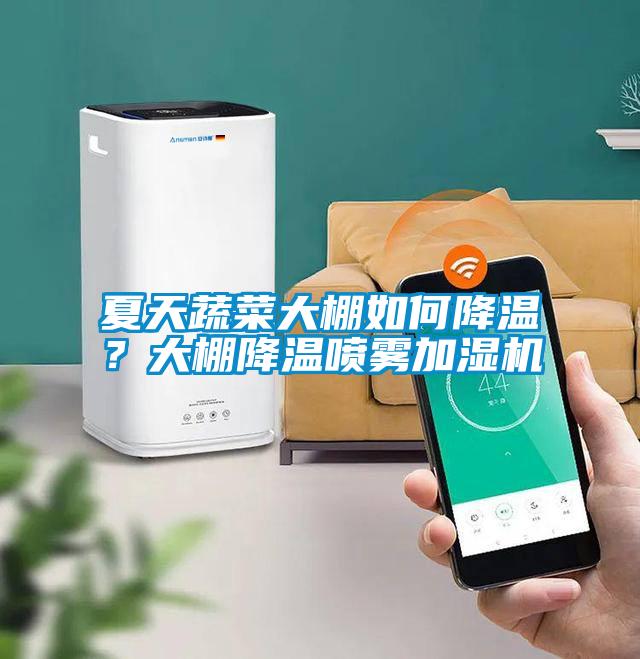 夏天蔬菜大棚如何降溫？大棚降溫噴霧加濕機(jī)