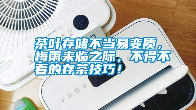 茶葉存儲不當易變質，梅雨來臨之際，不得不看的存茶技巧！