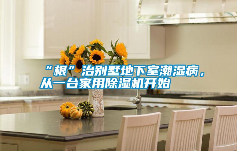 “根”治別墅地下室潮濕病，從一臺家用除濕機開始