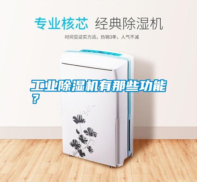 工業除濕機有那些功能？
