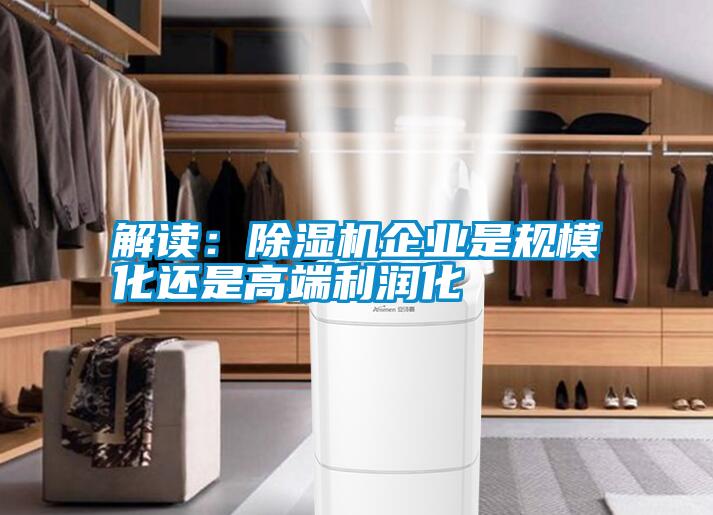 解讀：除濕機(jī)企業(yè)是規(guī)模化還是高端利潤化