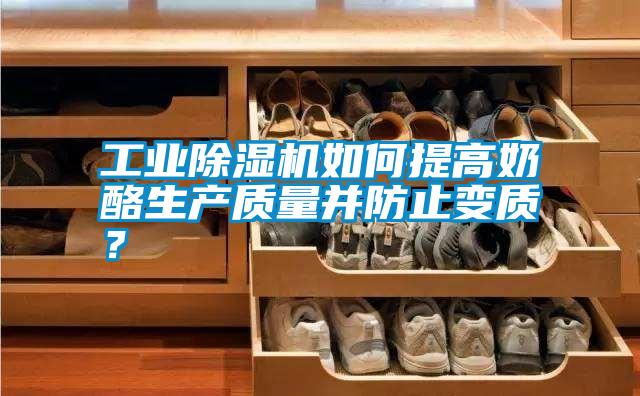 工業(yè)除濕機如何提高奶酪生產質量并防止變質？