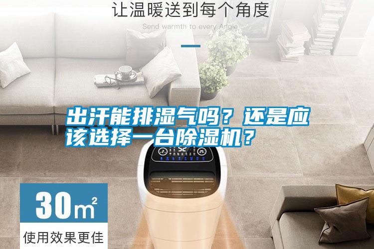 出汗能排濕氣嗎？還是應(yīng)該選擇一臺除濕機？