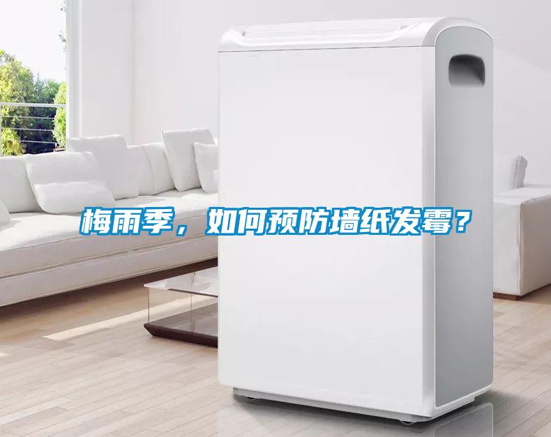 梅雨季，如何預防墻紙發霉？