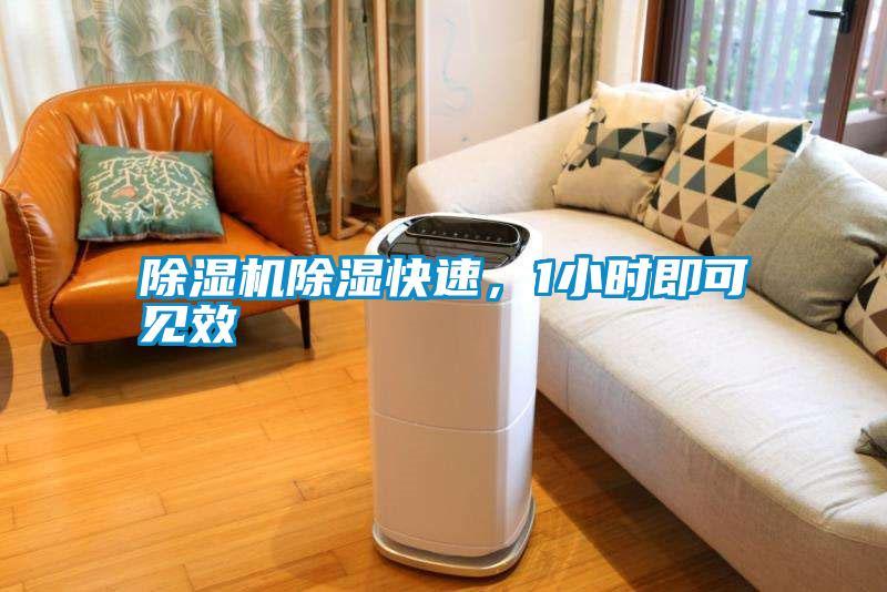 除濕機(jī)除濕快速，1小時即可見效