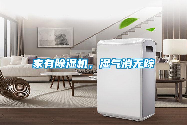 家有除濕機，濕氣消無蹤