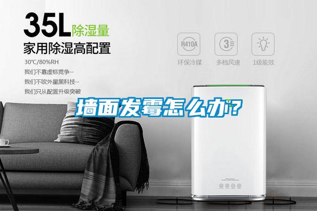 墻面發(fā)霉怎么辦？