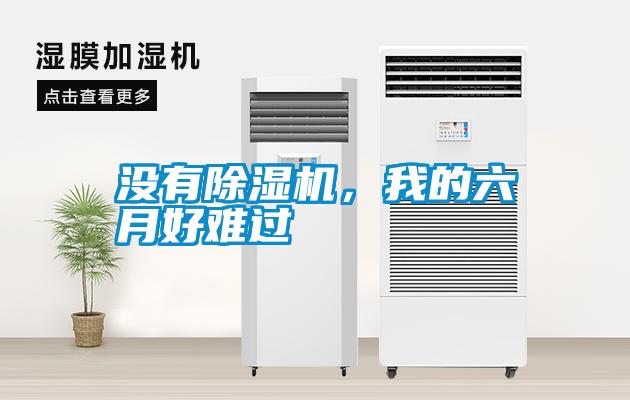 沒有除濕機，我的六月好難過