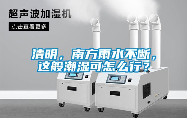 清明，南方雨水不斷，這般潮濕可怎么行？