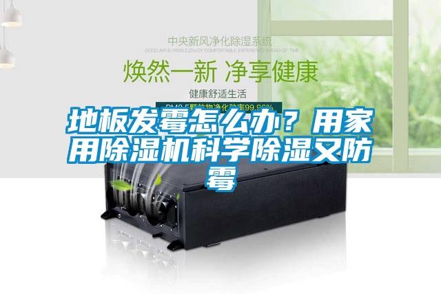 地板發霉怎么辦？用家用除濕機科學除濕又防霉