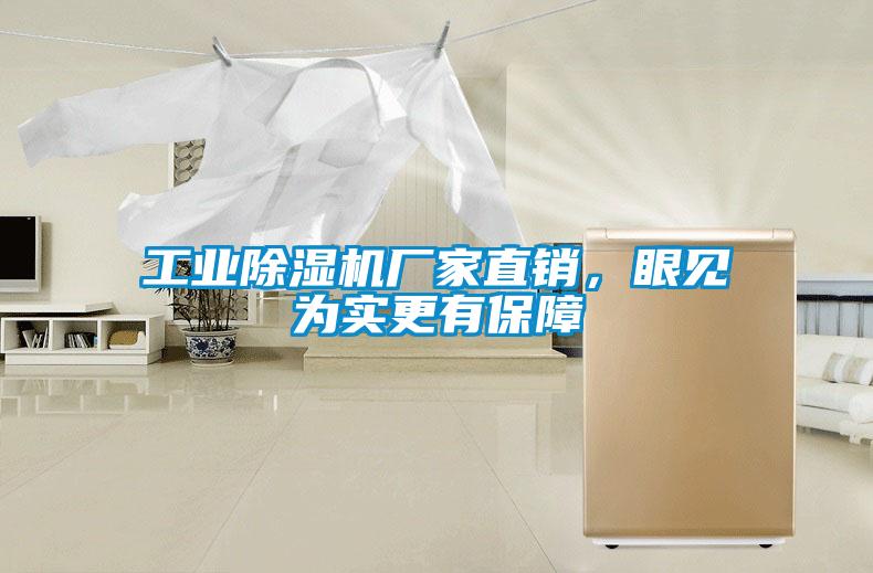 工業(yè)除濕機(jī)廠家直銷，眼見為實(shí)更有保障