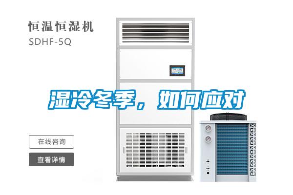 濕冷冬季，如何應對