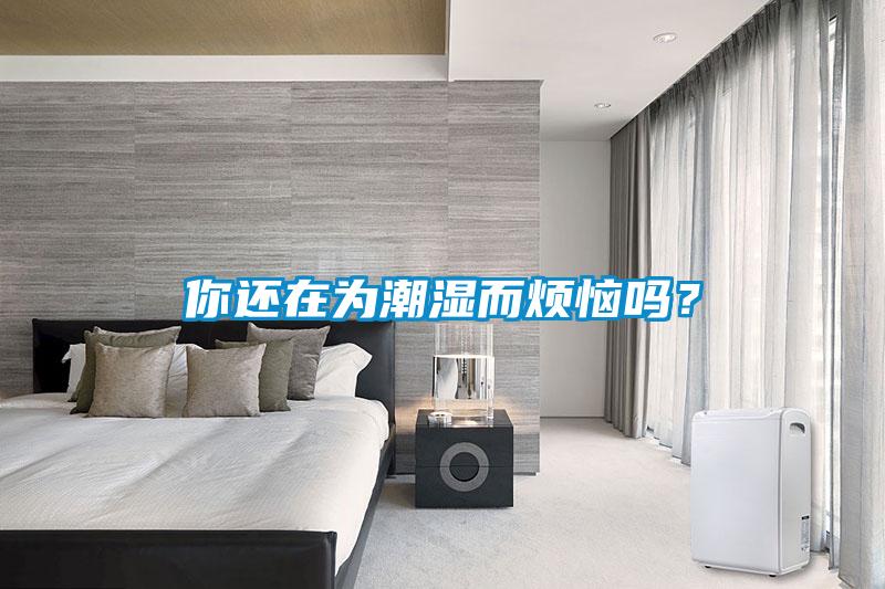 你還在為潮濕而煩惱嗎？