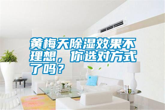 黃梅天除濕效果不理想，你選對方式了嗎？