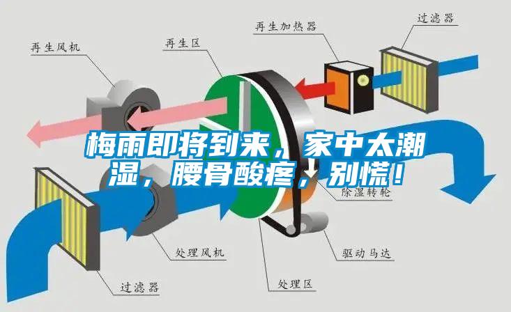 梅雨即將到來，家中太潮濕，腰骨酸疼，別慌！