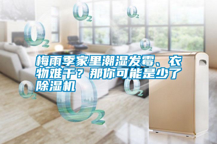 梅雨季家里潮濕發霉、衣物難干？那你可能是少了除濕機