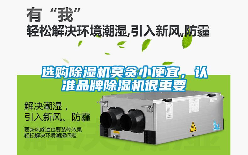 選購除濕機莫貪小便宜，認準品牌除濕機很重要