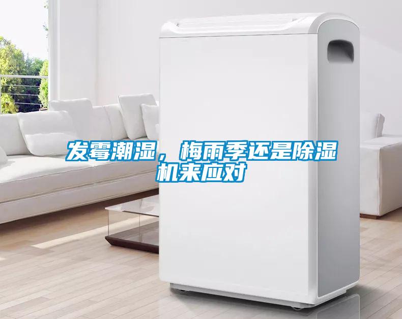 發霉潮濕，梅雨季還是除濕機來應對
