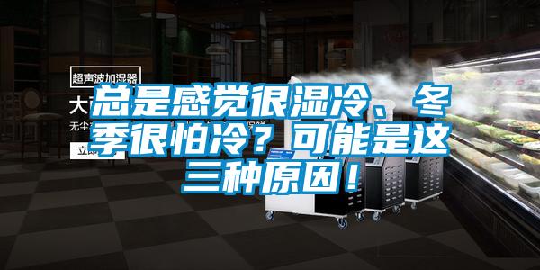 總是感覺很濕冷、冬季很怕冷？可能是這三種原因！