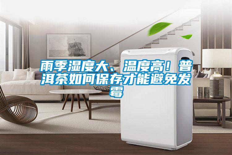 雨季濕度大、溫度高！普洱茶如何保存才能避免發霉