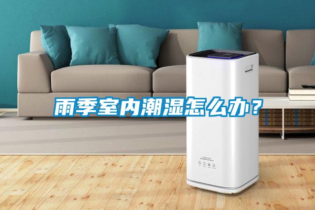 雨季室內潮濕怎么辦？