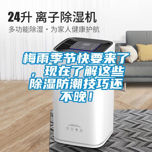 梅雨季節(jié)快要來了，現(xiàn)在了解這些除濕防潮技巧還不晚！