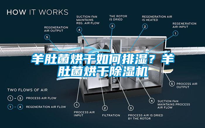 羊肚菌烘干如何排濕？羊肚菌烘干除濕機