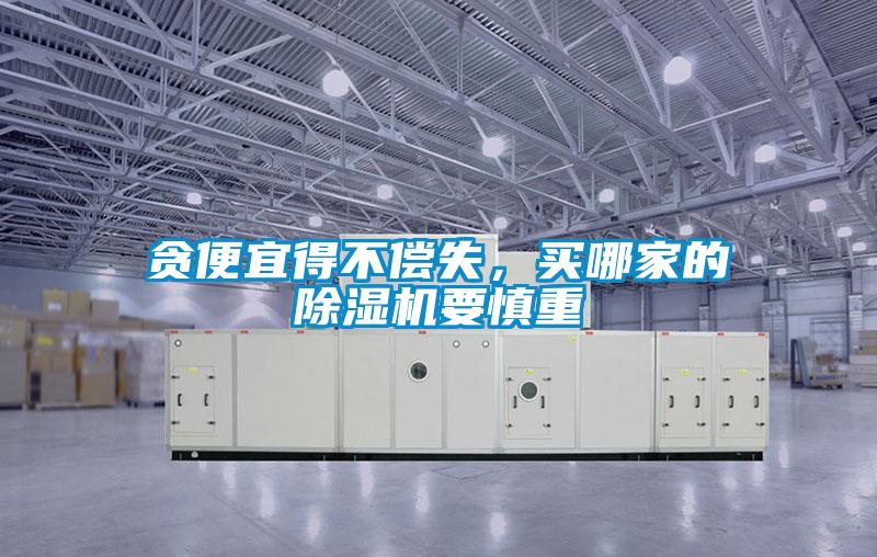 貪便宜得不償失，買哪家的除濕機要慎重