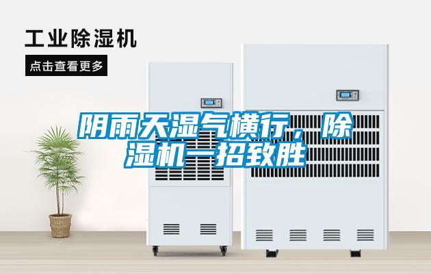 陰雨天濕氣橫行，除濕機(jī)一招致勝