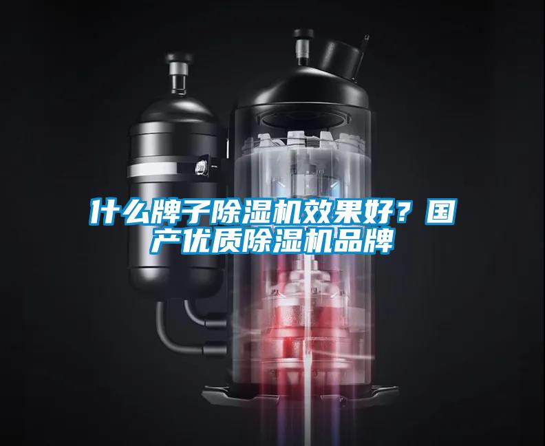 什么牌子除濕機(jī)效果好？國(guó)產(chǎn)優(yōu)質(zhì)除濕機(jī)品牌