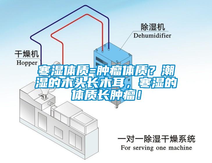 寒濕體質(zhì)=腫瘤體質(zhì)？潮濕的木頭長(zhǎng)木耳，寒濕的體質(zhì)長(zhǎng)腫瘤！