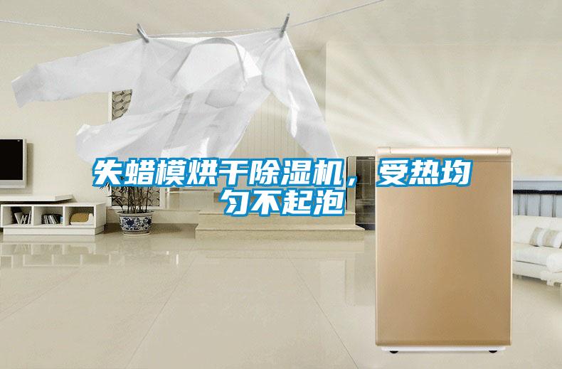 失蠟模烘干除濕機，受熱均勻不起泡