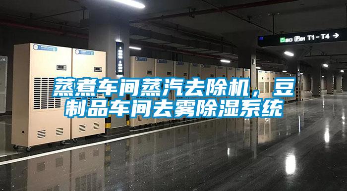 蒸煮車間蒸汽去除機(jī)，豆制品車間去霧除濕系統(tǒng)