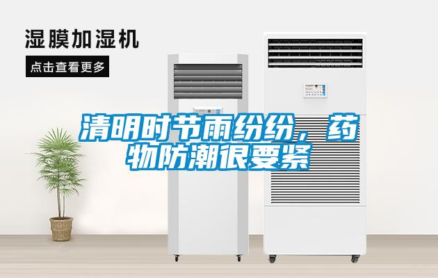 清明時節雨紛紛，藥物防潮很要緊