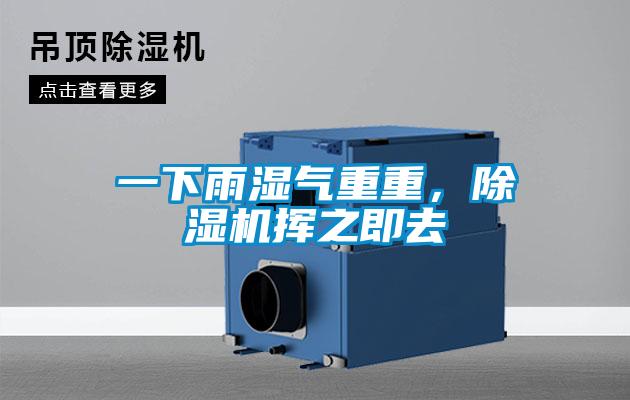 一下雨濕氣重重，除濕機揮之即去