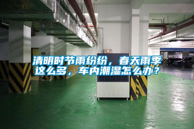清明時節雨紛紛，春天雨季這么多，車內潮濕怎么辦？