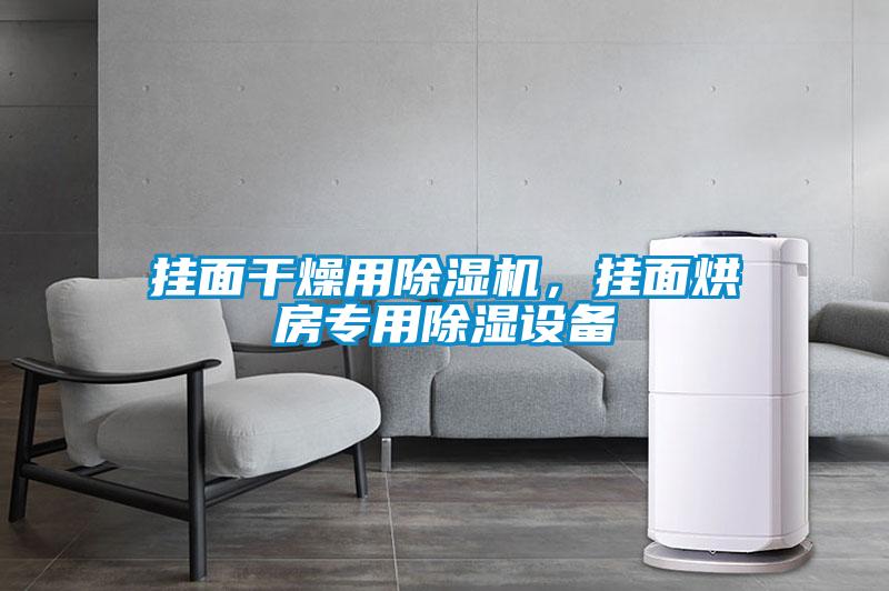 掛面干燥用除濕機(jī)，掛面烘房專用除濕設(shè)備