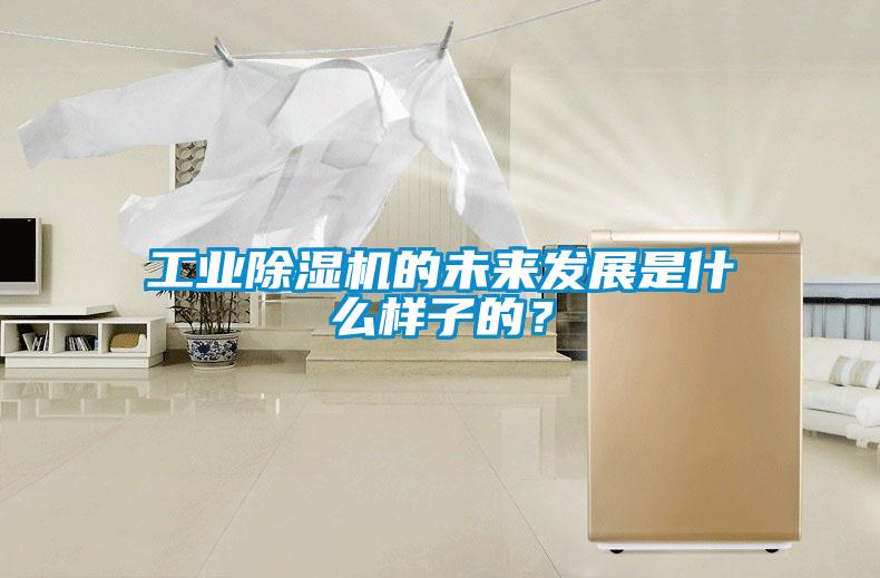 工業(yè)除濕機(jī)的未來(lái)發(fā)展是什么樣子的？