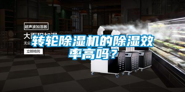 轉輪除濕機的除濕效率高嗎？