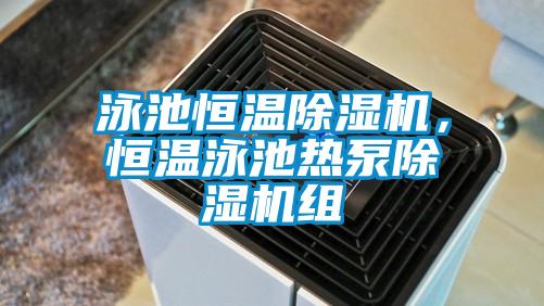 泳池恒溫除濕機，恒溫泳池?zé)岜贸凉駲C組