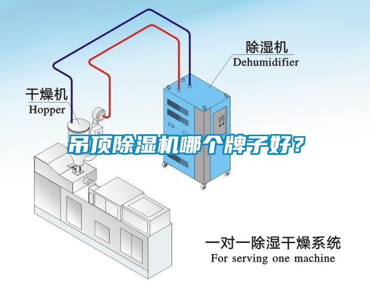 吊頂除濕機哪個牌子好？