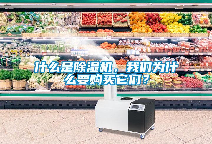 什么是除濕機(jī)，我們?yōu)槭裁匆徺I它們？