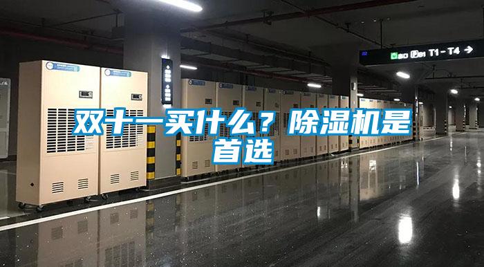 雙十一買什么？除濕機(jī)是首選
