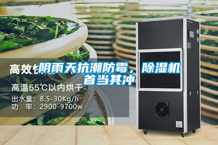 陰雨天抗潮防霉，除濕機首當其沖