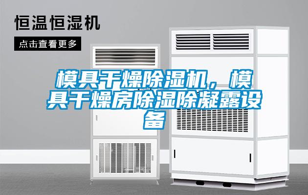 模具干燥除濕機(jī)，模具干燥房除濕除凝露設(shè)備