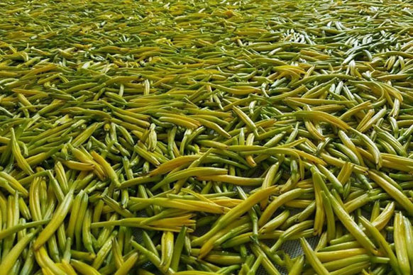 無硫金針菜烘干如何保持品相？不發(fā)黑？
