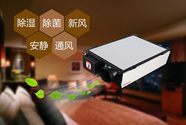 防范豬仔大腸桿菌病，用過氧化氫低溫滅菌器