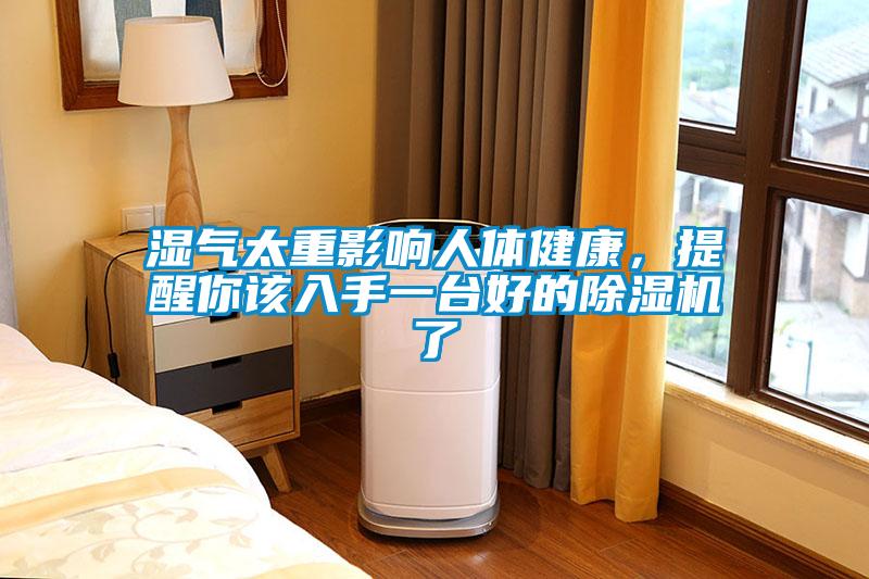 濕氣太重影響人體健康，提醒你該入手一臺好的除濕機(jī)了